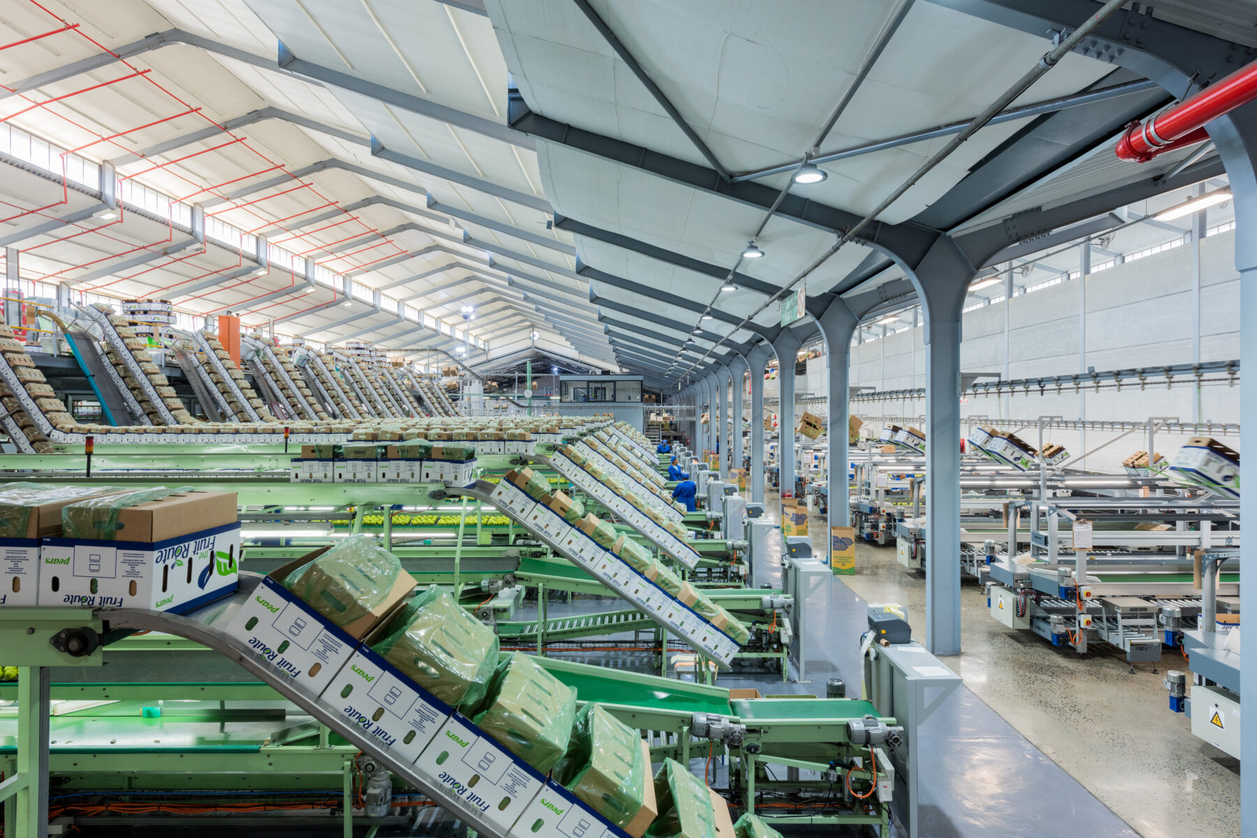 Ceres Fruit Growers Kube